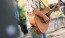 a person playing a guitar