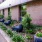 a patio with chairs and plants