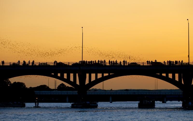 a bridge with people on it